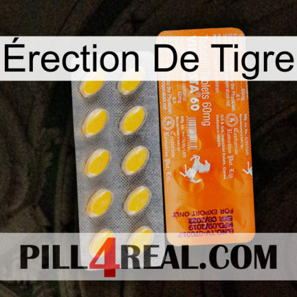 Érection De Tigre new05